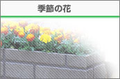 季節の花