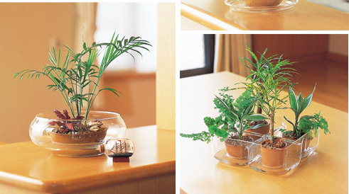 ガーデニング植付事例